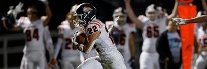 Alex Martinez banner