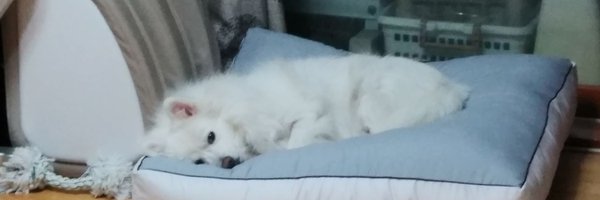 danae0723 Profile Banner