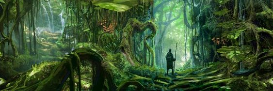 Feng Shui Crypto banner