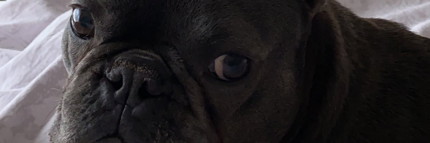 Dan_j1's profile banner image