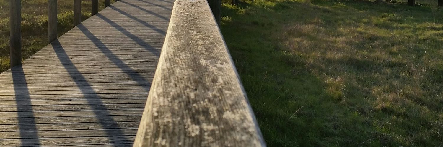 YoannTYT's profile banner image