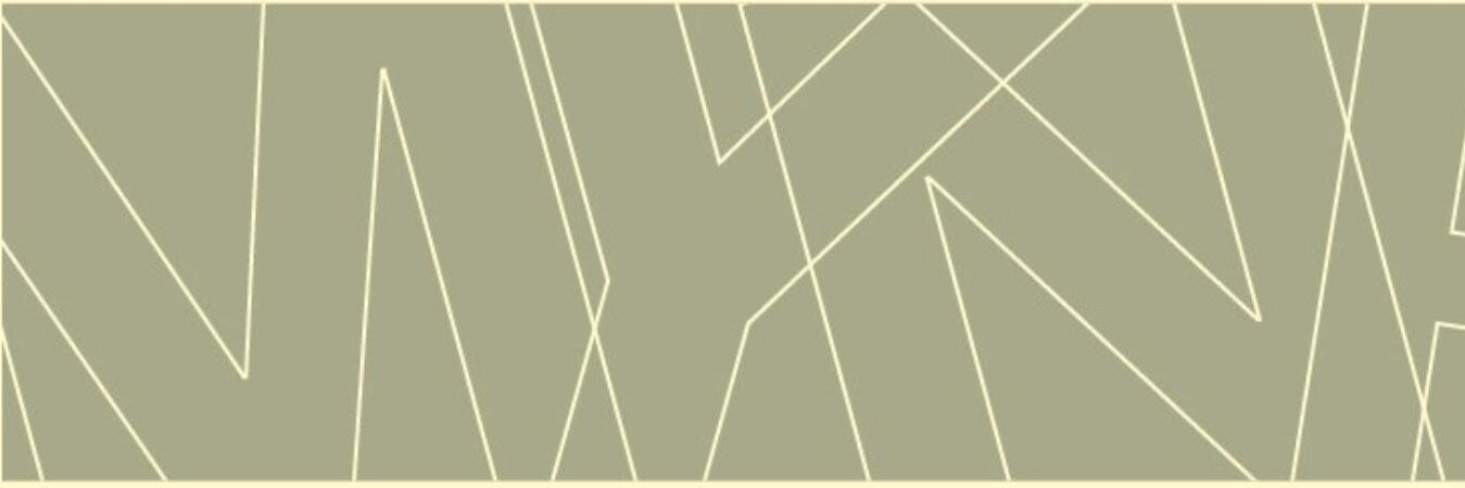 MYNPfoundation's profile banner image