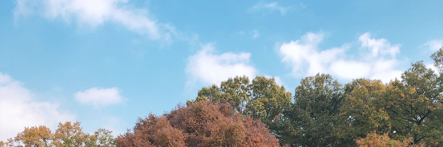 vallenderr's profile banner image