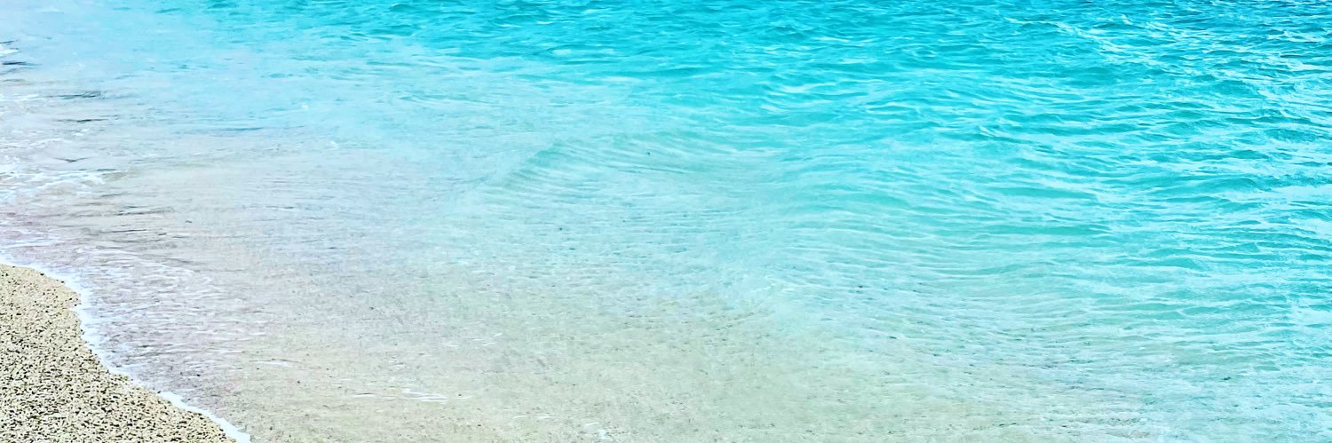 𝘧 𝘭 𝘰 𝘸 banner