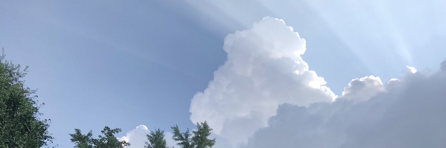 petitluxe2014's profile banner image