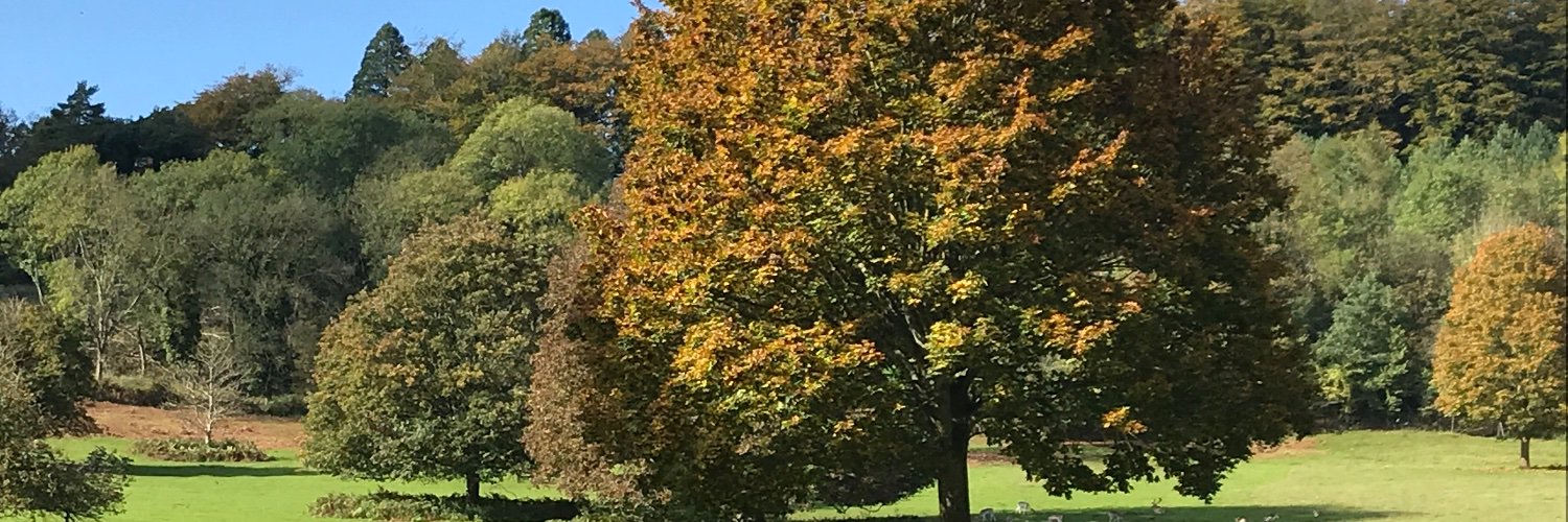 Shrempie's profile banner image