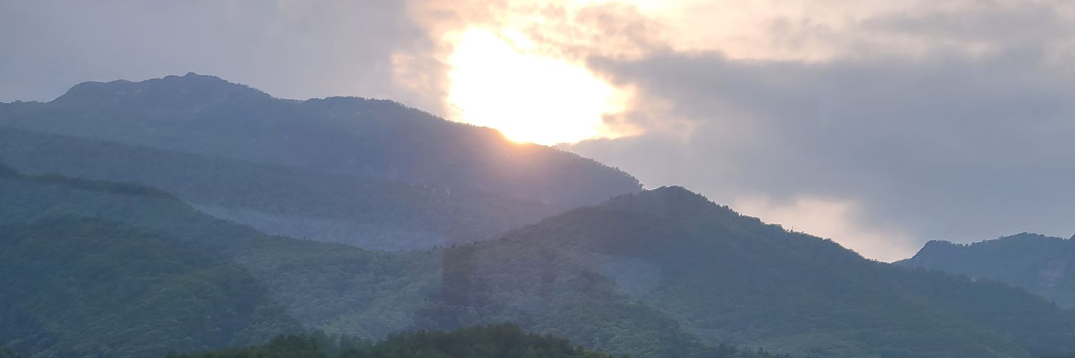 osuke_20051217's profile banner image