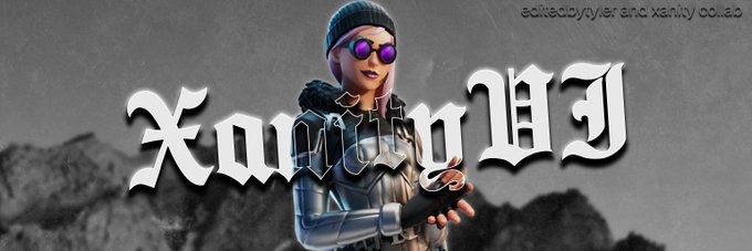 XanityVI banner