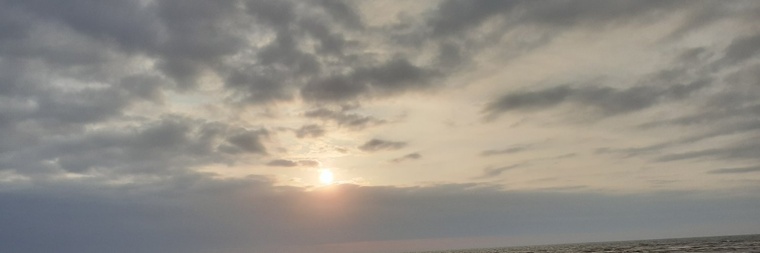 VickyFranssen's profile banner image