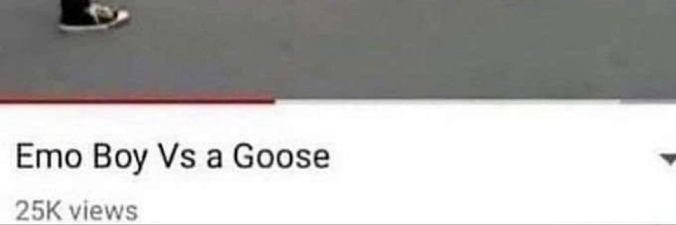 michael 🕸️ banner