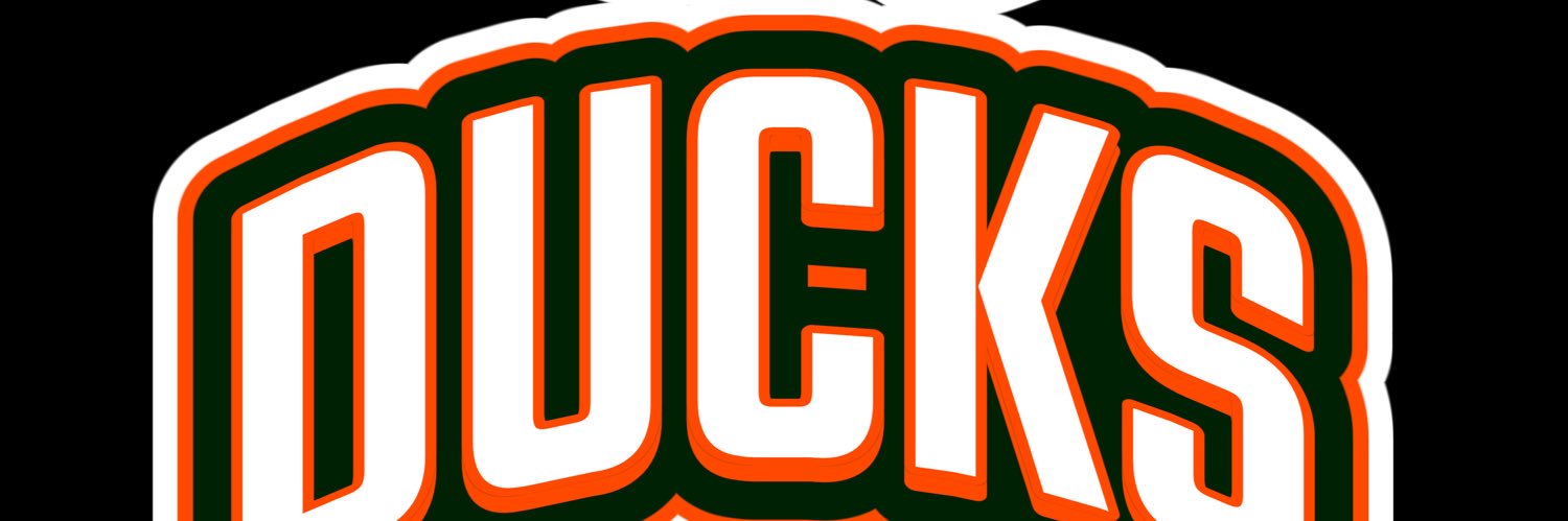 DUCKS banner
