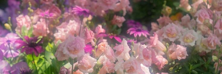 Na49335255's profile banner image