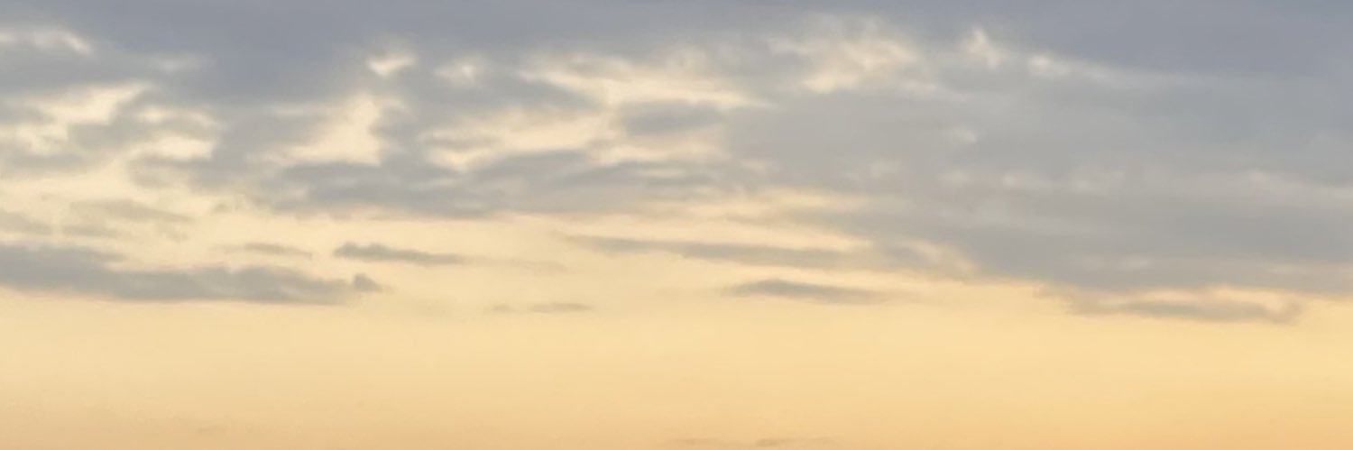 saboritai__'s profile banner image