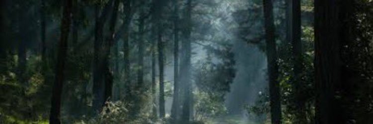 Zt5Vp's profile banner image