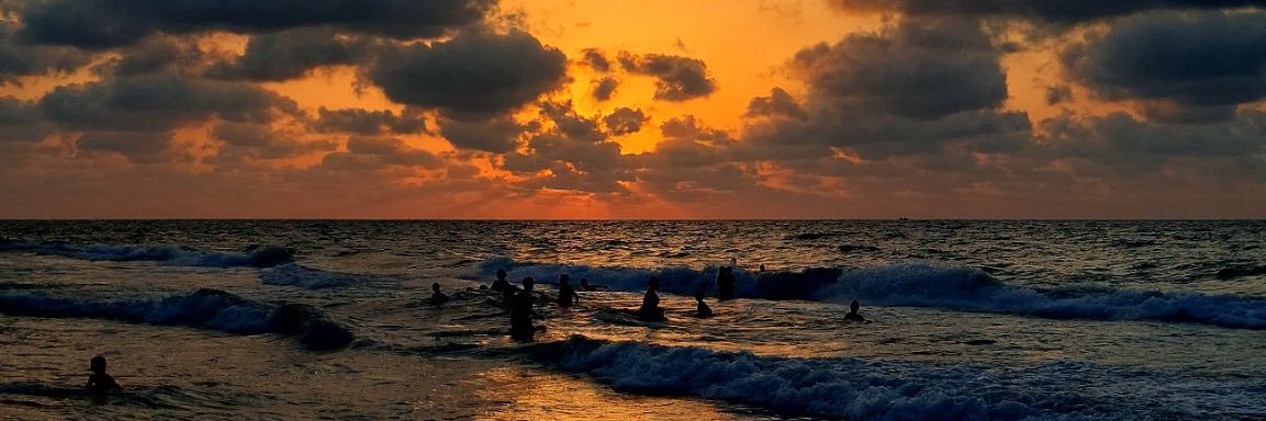 BLUE DEVIL🍿 banner