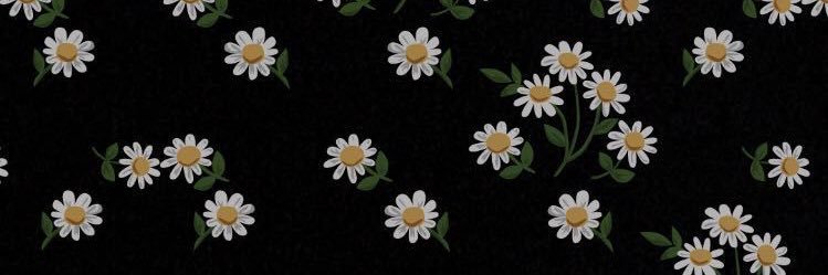 splingky's profile banner image