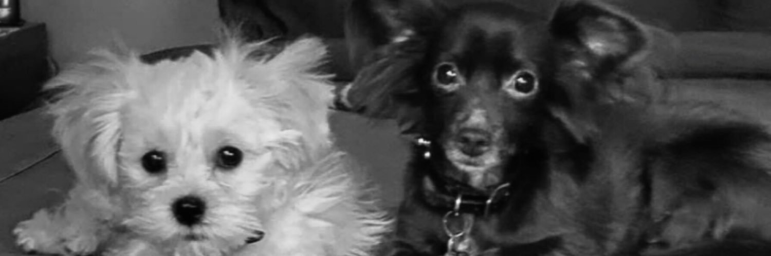 HOST BODY Lisa Smith #🟦#BLM banner