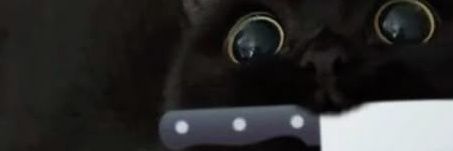 The damn omega! cat banner