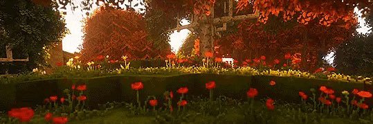 sen_sational8's profile banner image