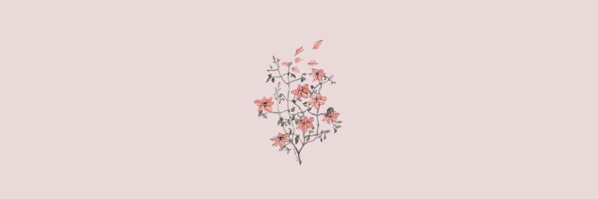 𝒊𝒓𝒔 ᰔᩚ banner