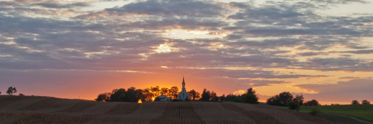 Andrew Ansorge banner