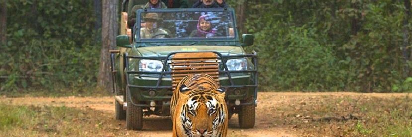 Ankit Saini🇮🇳 banner