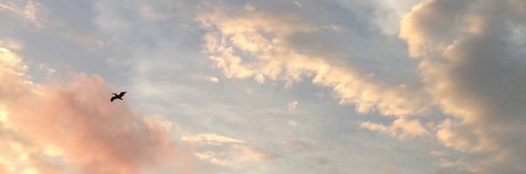ashtcnirwin's profile banner image