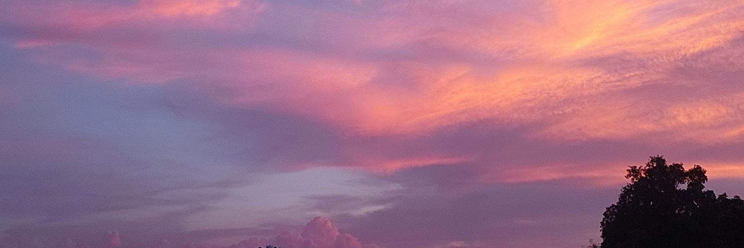 bluntdeshi's profile banner image