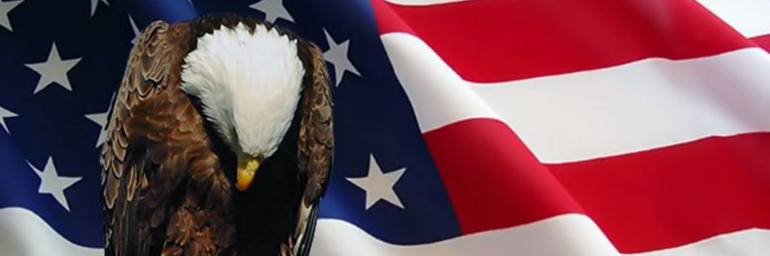 dmays31's profile banner image