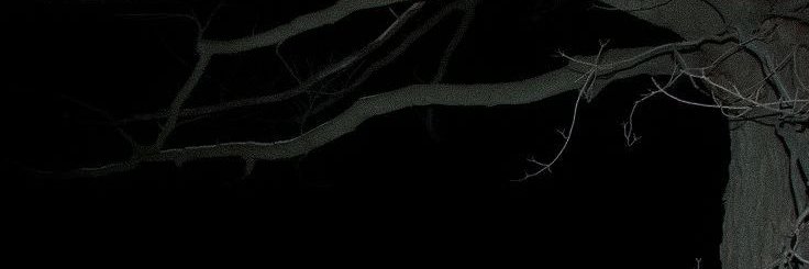 Keymron banner