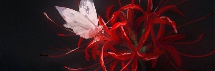 ᴡʜɪᴛᴇ banner