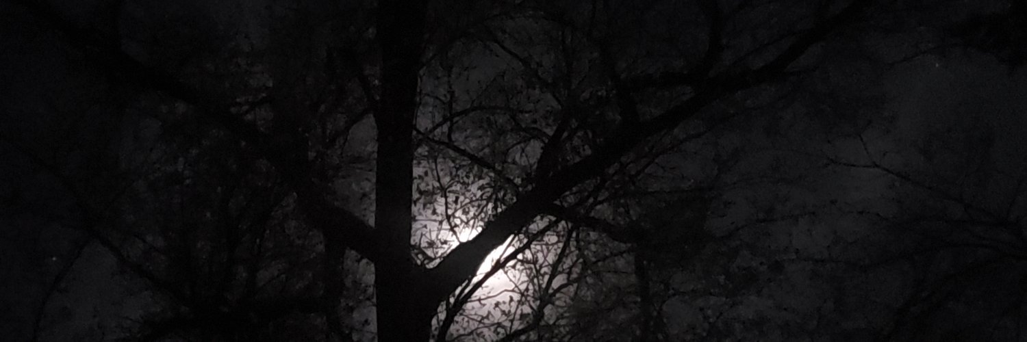ltbig24's profile banner image