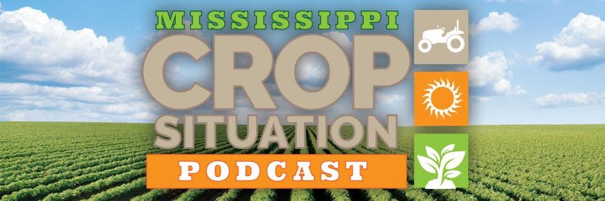 MS_CropDoctors's banner