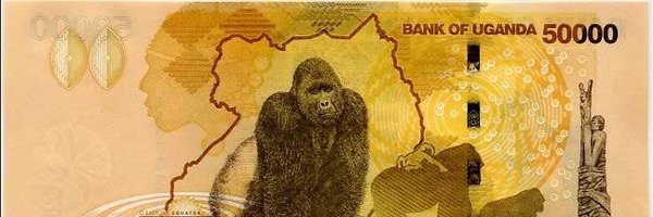 simple_shamim Profile Banner