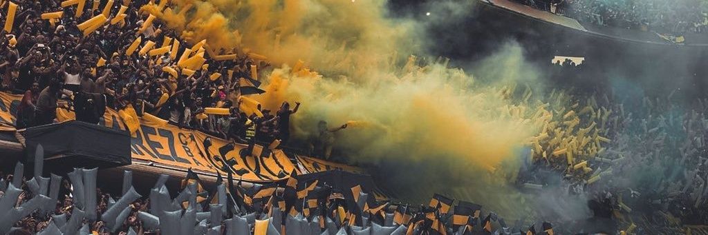 Castaniolucas's profile banner image