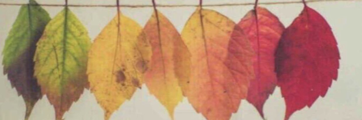 xvv_2000's profile banner image