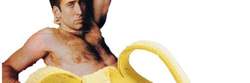 ShiaLabouffe banner