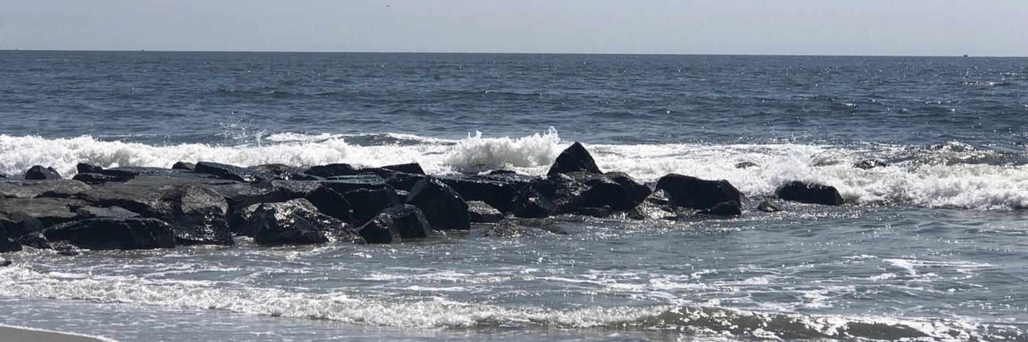 Heather A. Curry, M.D. banner