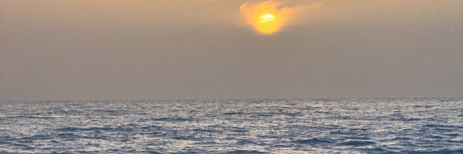 Laila_solidstone banner