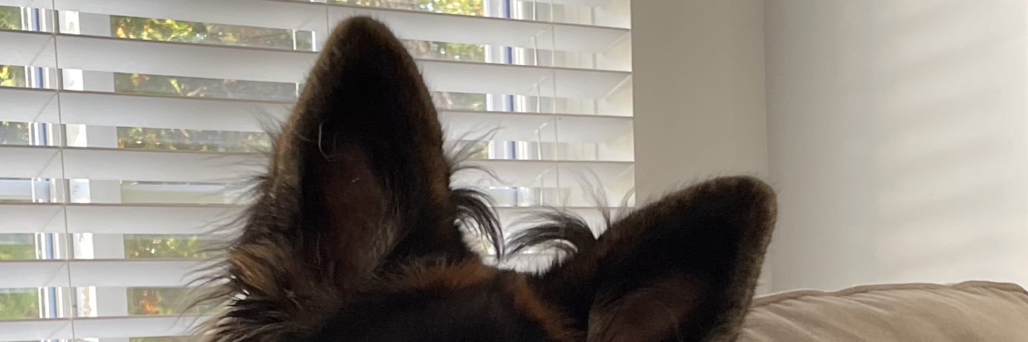 jessicasm33's profile banner image