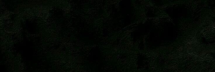 nikysandoval's profile banner image
