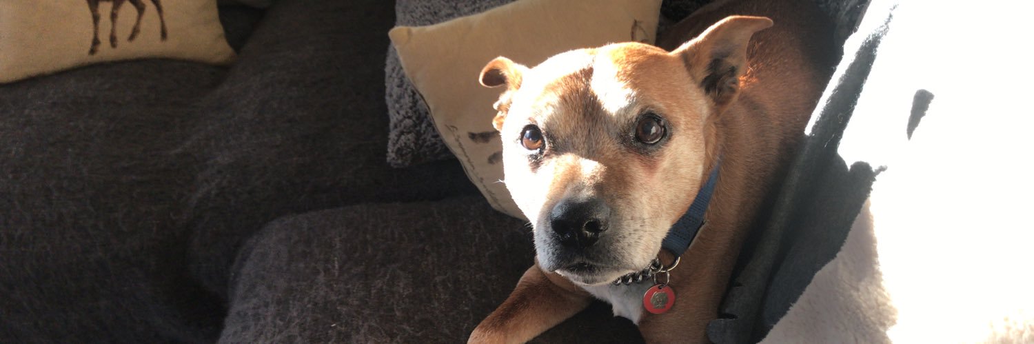 brian fairhurst 🏳️‍🌈 banner