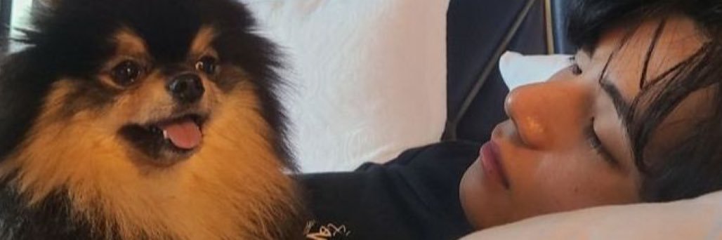 𝑨𝒓𝒊 banner