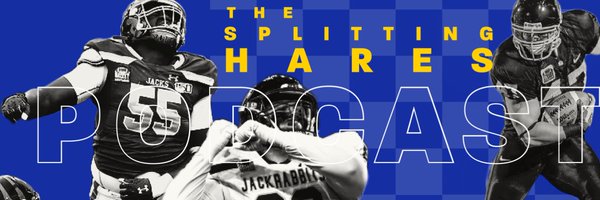Splitting_Hares Profile Banner