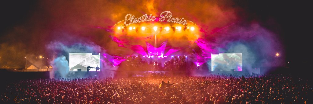 Electric Picnic's banner