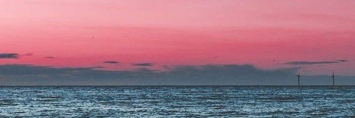 MT ⁸⁸⁸ 🧸 banner