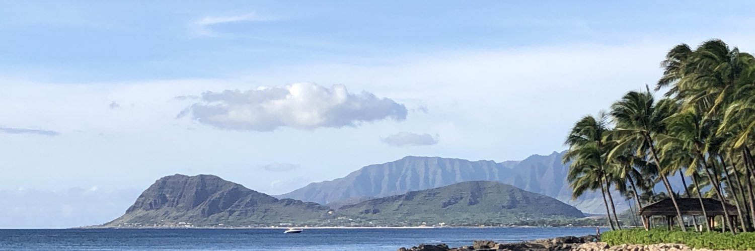 braddominy's profile banner image