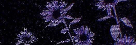 midnightttalk's profile banner image