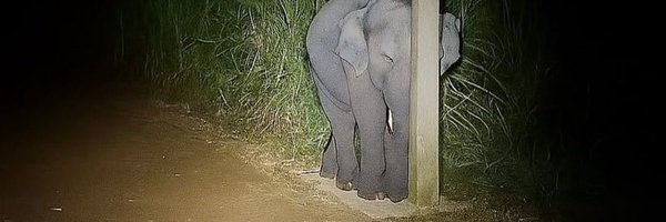 corpsachriste Profile Banner