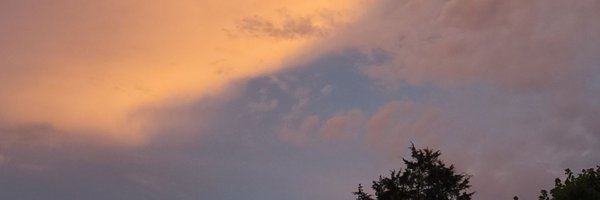 cutie_mtf Profile Banner